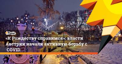 Себастьян Курц - «КРождеству справимся»: власти Австрии начали активную борьбу сCOVID - ridus.ru - Австрия - Словакия
