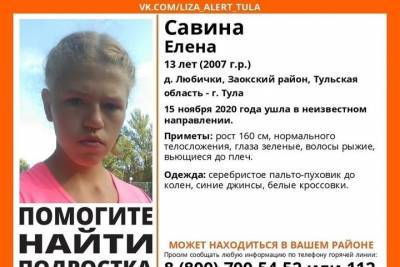 13-летняя девочка пропала в Тульской области - tula.mk.ru - Тульская обл. - район Заокский