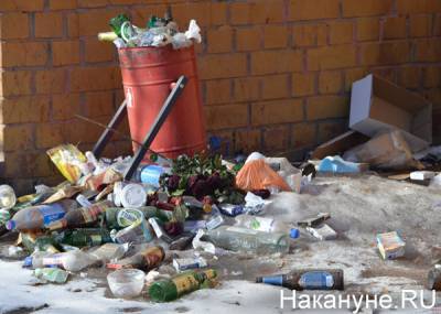 Алексей Макрушин - Для россиян могут ввести ответственность за неправильно выброшенный мусор - nakanune.ru - Россия