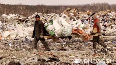 Алексей Макрушин - В России станет вдвое меньше мусорных полигонов.В РЭО объяснили, кто должен ими заниматься - newdaynews.ru - Россия