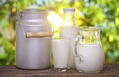 Производитель молочки рассказал, как выглядит средний поставщик сырья - agroportal.ua - Украина