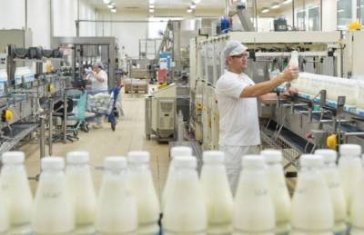 Иванна Панасюк - На Тернопольском молокозаводе строят цех сухих молочных продуктов - agroportal.ua
