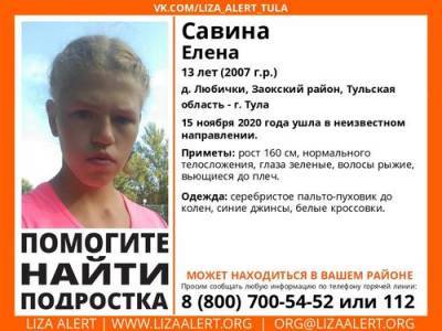 В Тульской области пропала 13-летняя девочка Лена Савина - argumenti.ru - Тула - Тульская обл. - район Заокский