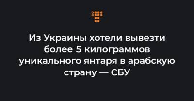 Из Украины хотели вывезти более 5 килограммов уникального янтаря в арабскую страну — СБУ - hromadske.ua - США - Украина - Ровенская обл. - Ровно