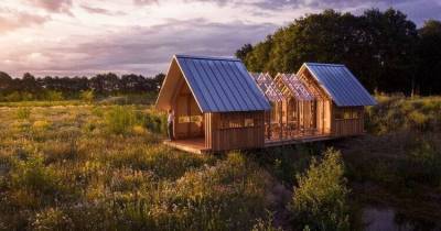 ФОТО. Слиться с природой: современный деревянный дом с прозрачными стенами и крышей - skuke.net