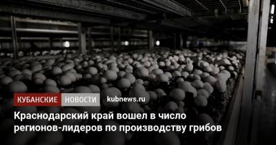 Краснодарский край вошел в число регионов-лидеров по производству грибов - kubnews.ru - Россия - Краснодарский край - Краснодар - Кореновск