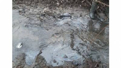 В Пензе нашли источник загрязнения вод двух рек - penzainform.ru - Пенза
