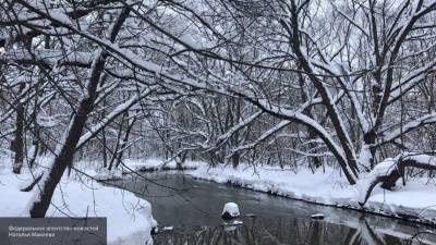 Мария Базарева - Мороз ниже -20 градусов накроет некоторые регионы Алтайского края - nation-news.ru - Барнаул - Алтайский край - респ. Алтай