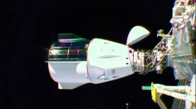 Виктор Гловер - Соити Ногути - Майкл Хопкинс - Шэннон Уокер - Космический корабль Crew Dragon произвел стыковку с МКС - belta.by - США - Япония