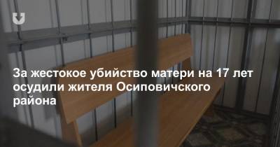 За жестокое убийство матери на 17 лет осудили жителя Осиповичского района - news.tut.by - район Осиповичский