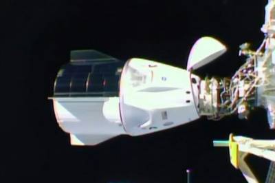 Илон Маск - Майкл Хопкинс - Crew Dragon - Корабль SpaceX с четырьмя астронавтами успешно состыковался с МКС - vkcyprus.com - США