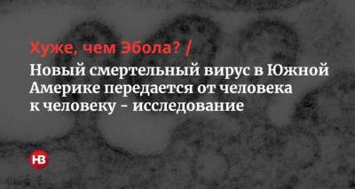 Хуже, чем Эбола? Новый смертельный вирус в Южной Америке передается от человека к человеку — исследование - nv.ua - Боливия