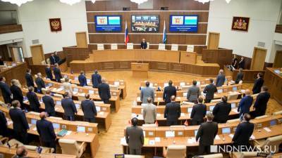 Бюджет-2021 принят в первом чтении при одном голосе против (ИНФОГРАФИКА) - newdaynews.ru - Свердловская обл.