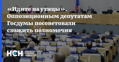 «Идите на улицы». Оппозиционным депутатам Госдумы посоветовали сложить полномочия - nsn.fm - Россия