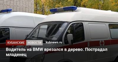 Водитель на BMW врезался в дерево. Пострадал младенец - kubnews.ru - Новороссийск - район Гулькевичский