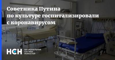 Владимир Толстой - Советника Путина по культуре госпитализировали с коронавирусом - nsn.fm - Россия