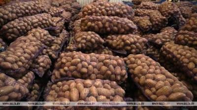 В Беларуси завершили закладку плодоовощной продукции в стабфонды - grodnonews.by - Белоруссия