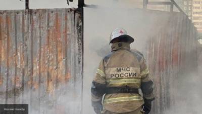 Мария Базарева - Жертвами пожара под Красноярском стали пятеро детей и взрослый - nation-news.ru - Красноярский край - Красноярск