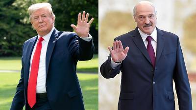 Дональд Трамп - Александр Лукашенко - Сергей Елкин - Джо Байден - Карикатурист показал, что общего между Трампом и Лукашенко - agrimpasa.com - США - Белоруссия