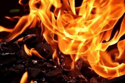Крыша горящего дома убила мужчину в пожаре в Новосибирской области - novos.mk.ru - Новосибирская обл.