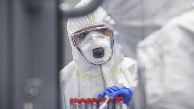 В России проведено более 70 млн тестов на COVID-19 - gazeta.ru - Россия - Новосибирск