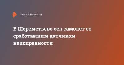 В Шереметьево сел самолет со сработавшим датчиком неисправности - ren.tv - Москва