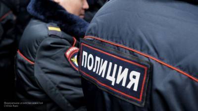 Полиция Калининграда возбудила дело против протаранившего толпу водителя - newinform.com - Калининград - район Зеленоградский