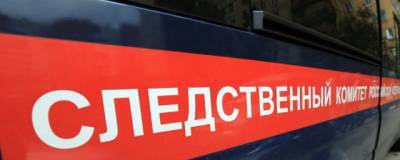 49-летний житель Башкирии зарезал бывшую жену в здании детсада - runews24.ru - Башкирия - Уфа - район Уфимский - район Кармаскалинский