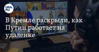 Владимир Путин - Дмитрий Песков - Элла Памфилова - В Кремле раскрыли, как Путин работает на удаленке - ura.news - Россия