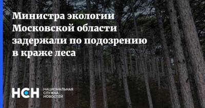 Дмитрий Куракин - Министра экологии Московской области задержали по подозрению в краже леса - nsn.fm - Россия - Московская обл. - Московская область