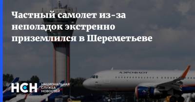 Частный самолет из-за неполадок экстренно приземлился в Шереметьеве - nsn.fm - Москва - Калининград - Шереметьево