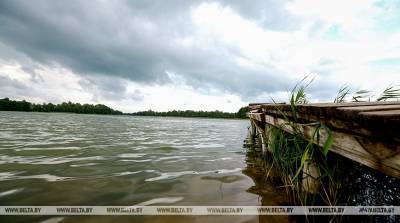 Более 8 т рыбы выпустили в озера Витебской области - belta.by - Минск - район Городокский