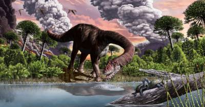 Глобальное потепление повлияло на размеры динозавров - popmech.ru