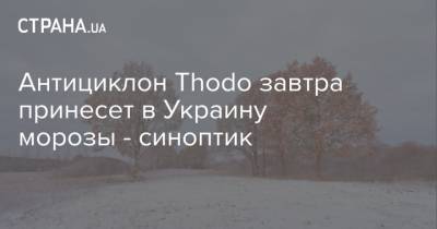 Наталья Диденко - Антициклон Thodo завтра принесет в Украину морозы - синоптик - strana.ua - Украина - Киев