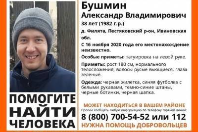 В Пестяковском районе пропал 38-летний мужчина - mkivanovo.ru