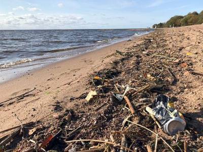 Жители Сестрорецка жалуются на усыпанный мусором пляж - rosbalt.ru - Сестрорецк