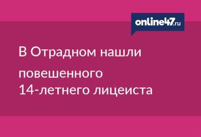 В Отрадном нашли повешенного 14-летнего лицеиста - online47.ru - Ленинградская обл. - р-н Кировский