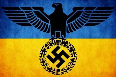В Киеве хотят заставить жителей Донбасса и Крыма подтвердить своё... - politnavigator.net - Россия - Украина - Киев - Крым - Донбасс