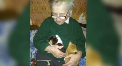 У погибшей в ковид-госпитале ярославны остались восемь кошек - progorod76.ru - Ярославль