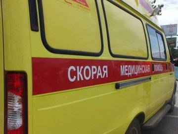 В Башкирии собаки бойцовской породы загрызли хозяина - ufacitynews.ru - Башкирия - Октябрьск