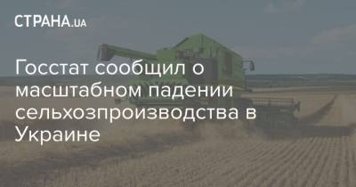 Госстат сообщил о масштабном падении сельхозпроизводства в Украине - strana.ua - Украина - Польша