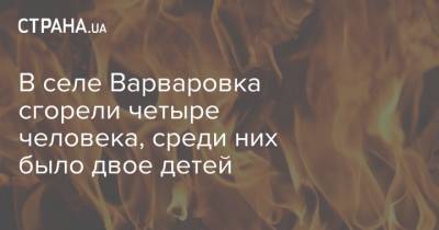 В селе Варваровка сгорели четыре человека, среди них было двое детей - strana.ua - Украина - Киев - Харьков - Кировоградская обл. - район Долинский - Гсчс