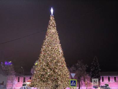 Главную новогоднюю елку в Нижнем Новгороде смонтируют к 20 декабря - vgoroden.ru - Нижний Новгород