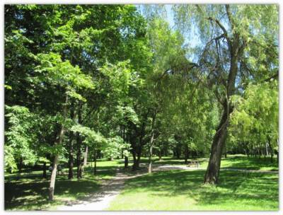Дендрарий Гродненского аграрного университета насчитывает более 90 видов деревьев и кустарников - grodnonews.by