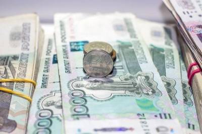 Владимир Путин - Даниил Егоров - ФНС ожидает снижения на 10% поступления налогов по итогам года - aif.ru - Россия
