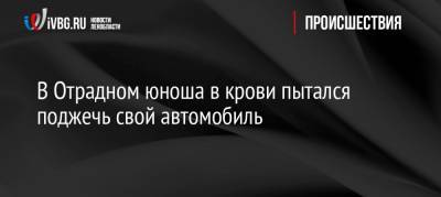 В Отрадном юноша в крови пытался поджечь свой автомобиль - ivbg.ru - р-н Кировский - Ленобласть