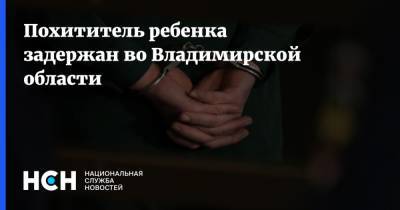 Ирина Волк - Похититель ребенка задержан во Владимирской области - nsn.fm - Россия - Владимирская обл.