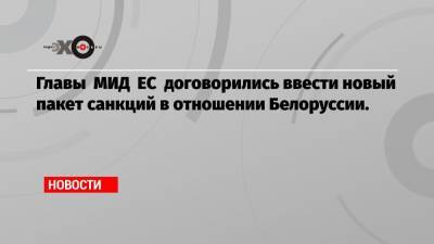 Александр Лукашенко - Жозеп Боррель - Главы МИД ЕС договорились ввести новый пакет санкций в отношении Белоруссии. - echo.msk.ru - Белоруссия