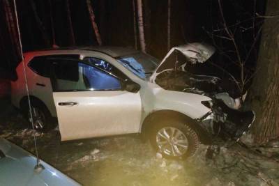 Страшная авария в Новосибирске: женщина погибла, влетев в дерево - novos.mk.ru - Новосибирск - район Заельцовский
