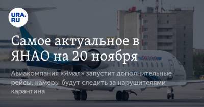 Самое актуальное в ЯНАО на 20 ноября. Авиакомпания «Ямал» запустит дополнительные рейсы, камеры будут следить за нарушителями карантина - ura.news - Москва - Тюмень - Ноябрьск - Салехард - окр. Янао